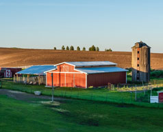 boilers for agribusiness industries