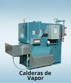 Calderas de vapor